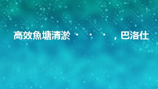 高效魚塘清淤，巴洛仕設(shè)備助力生態(tài)養(yǎng)殖